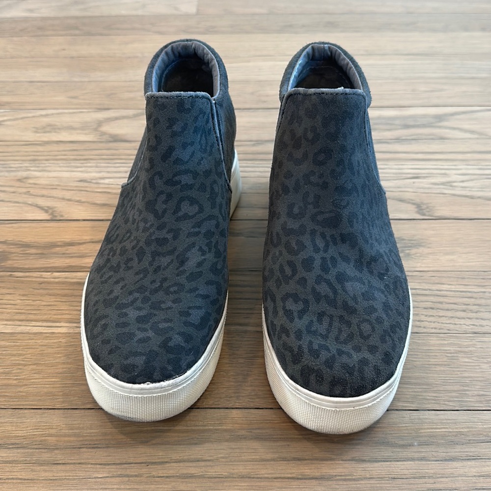 Cheetah J slides